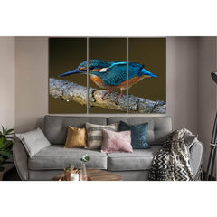 Common Kingfisher Bird Close Up №SL1022 Ready to Hang Canvas PrintCanvas art arrives ready to hang, with hanging accessories included and no additional framing required. Every canvas print is hand-crafted, made on-demand at our workshop and expertly stret