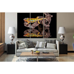 Chameleon Reflection №SL1028 Ready to Hang Canvas PrintCanvas art arrives ready to hang, with hanging accessories included and no additional framing required. Every canvas print is hand-crafted, made on-demand at our workshop and expertly stretched around
