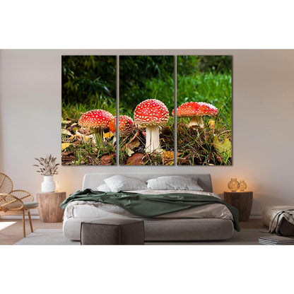 Autumn Red Amanita №SL630 Ready to Hang Canvas PrintCanvas art arrives ready to hang, with hanging accessories included and no additional framing required. Every canvas print is hand-crafted, made on-demand at our workshop and expertly stretched around 10