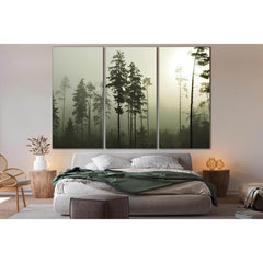 Pine And Fir Trees №SL889 Ready to Hang Canvas PrintCanvas art arrives ready to hang, with hanging accessories included and no additional framing required. Every canvas print is hand-crafted, made on-demand at our workshop and expertly stretched around 10