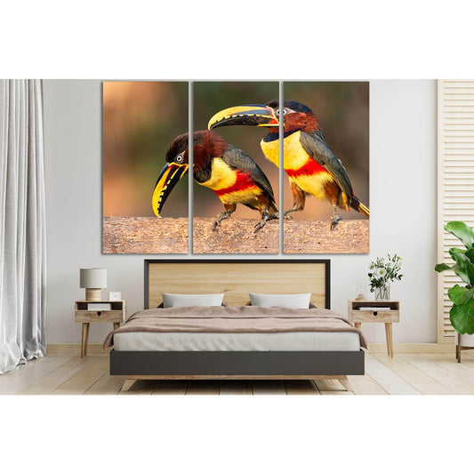 Two Pretty Toucans №SL1044 Ready to Hang Canvas PrintCanvas art arrives ready to hang, with hanging accessories included and no additional framing required. Every canvas print is hand-crafted, made on-demand at our workshop and expertly stretched around 1