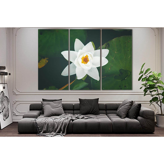 White Lily Flower №SL696 Ready to Hang Canvas PrintCanvas art arrives ready to hang, with hanging accessories included and no additional framing required. Every canvas print is hand-crafted, made on-demand at our workshop and expertly stretched around 100