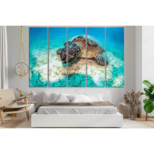 Turtle Underwater World Close Up №SL1055 Ready to Hang Canvas PrintCanvas art arrives ready to hang, with hanging accessories included and no additional framing required. Every canvas print is hand-crafted, made on-demand at our workshop and expertly stre
