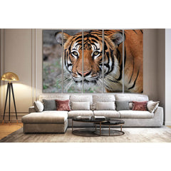 Portrait Of A Tiger №SL1009 Ready to Hang Canvas PrintCanvas art arrives ready to hang, with hanging accessories included and no additional framing required. Every canvas print is hand-crafted, made on-demand at our workshop and expertly stretched around