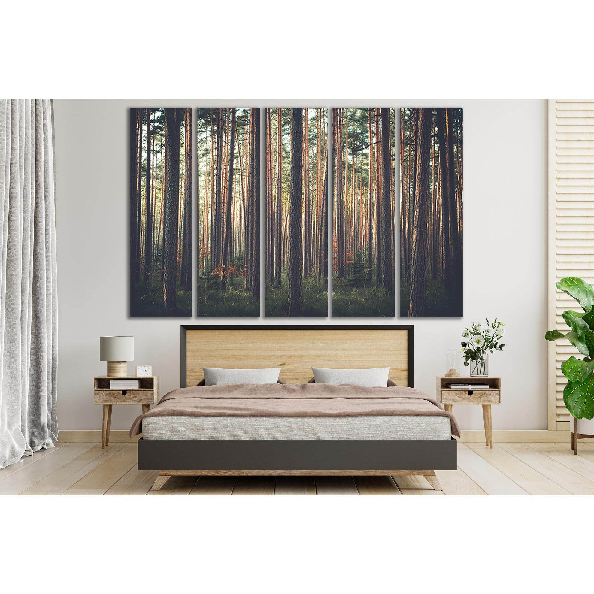 Beautiful Pine Forest №SL507 Ready to Hang Canvas PrintCanvas art arrives ready to hang, with hanging accessories included and no additional framing required. Every canvas print is hand-crafted, made on-demand at our workshop and expertly stretched around