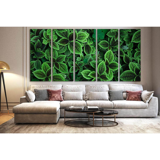 Leaves Plant Close Up №SL693 Ready to Hang Canvas PrintCanvas art arrives ready to hang, with hanging accessories included and no additional framing required. Every canvas print is hand-crafted, made on-demand at our workshop and expertly stretched around