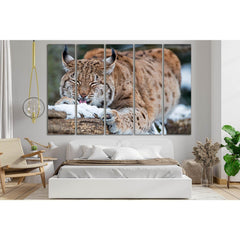 Wild Lynx On A Log №SL998 Ready to Hang Canvas PrintCanvas art arrives ready to hang, with hanging accessories included and no additional framing required. Every canvas print is hand-crafted, made on-demand at our workshop and expertly stretched around 10