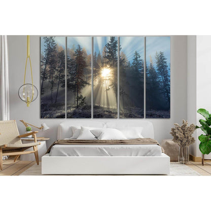 Sunlight Path In Snowy Trees №SL1574 Ready to Hang Canvas PrintCanvas art arrives ready to hang, with hanging accessories included and no additional framing required. Every canvas print is hand-crafted, made on-demand at our workshop and expertly stretche