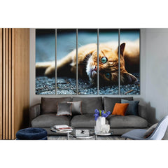 Beautiful Ginger Cat №SL1026 Ready to Hang Canvas PrintCanvas art arrives ready to hang, with hanging accessories included and no additional framing required. Every canvas print is hand-crafted, made on-demand at our workshop and expertly stretched around