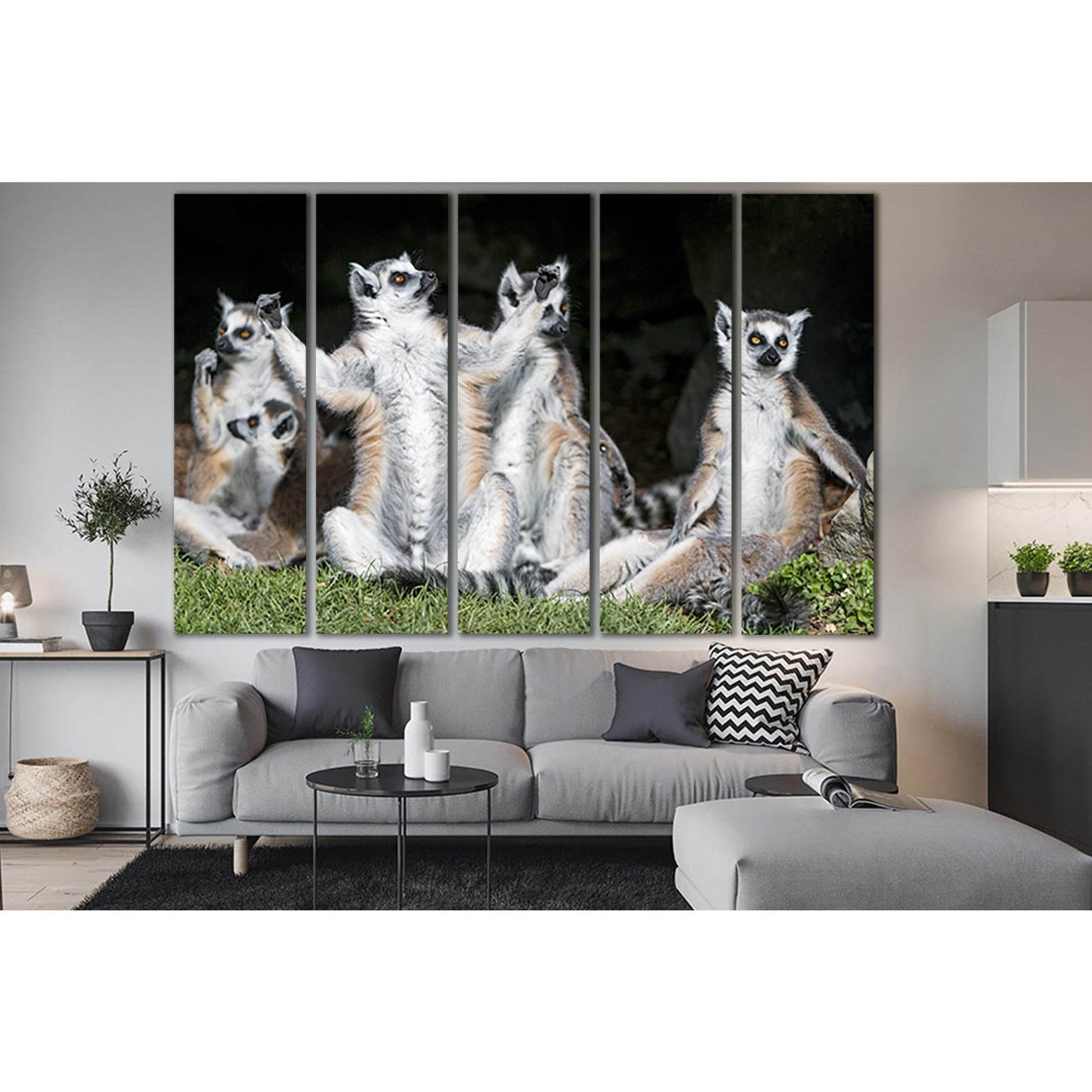 Funny Ring Tailed Lemurs №SL1544 Ready to Hang Canvas PrintCanvas art arrives ready to hang, with hanging accessories included and no additional framing required. Every canvas print is hand-crafted, made on-demand at our workshop and expertly stretched ar