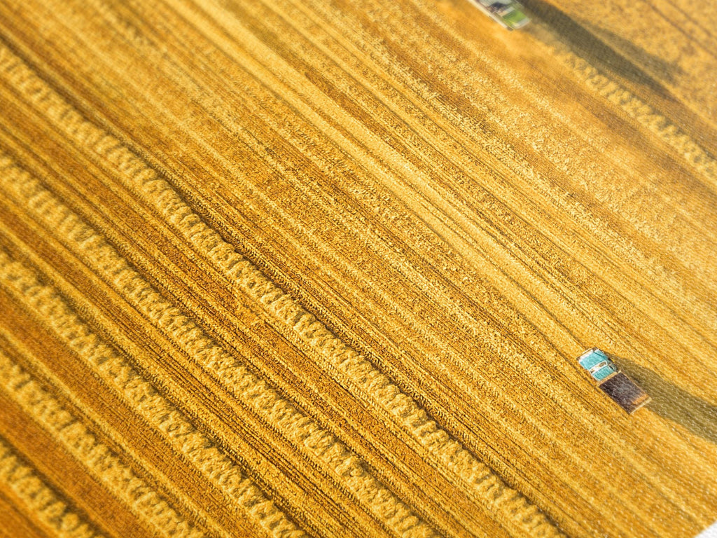 Impression sur toile d'un champ de blé vu d'en haut, scène de récolte, grand paysage agricole, œuvre sur les cultures dorées, décor rural pour bureau