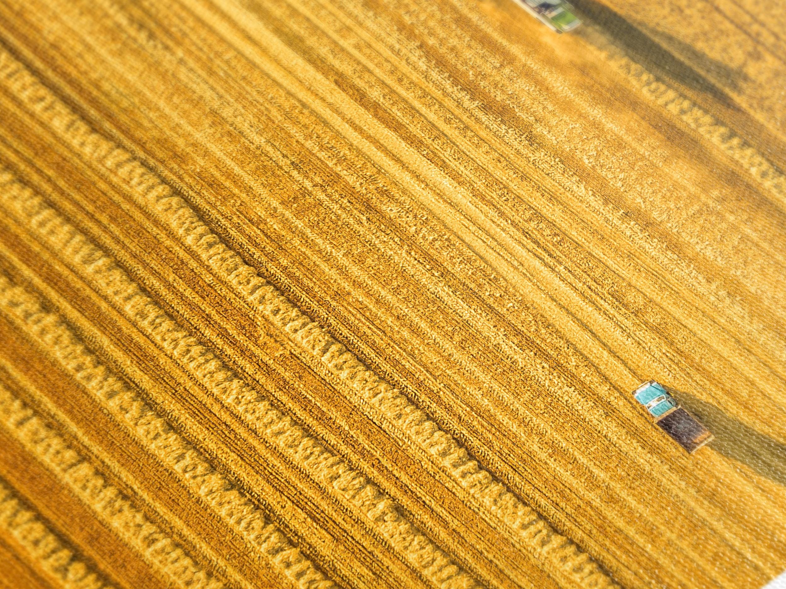 Aerial Wheat Field Canvas Print, Harvesting Scene Wall Art, Large Farmland Landscape, Golden Crop Artwork, Rural Agriculture Office Decor