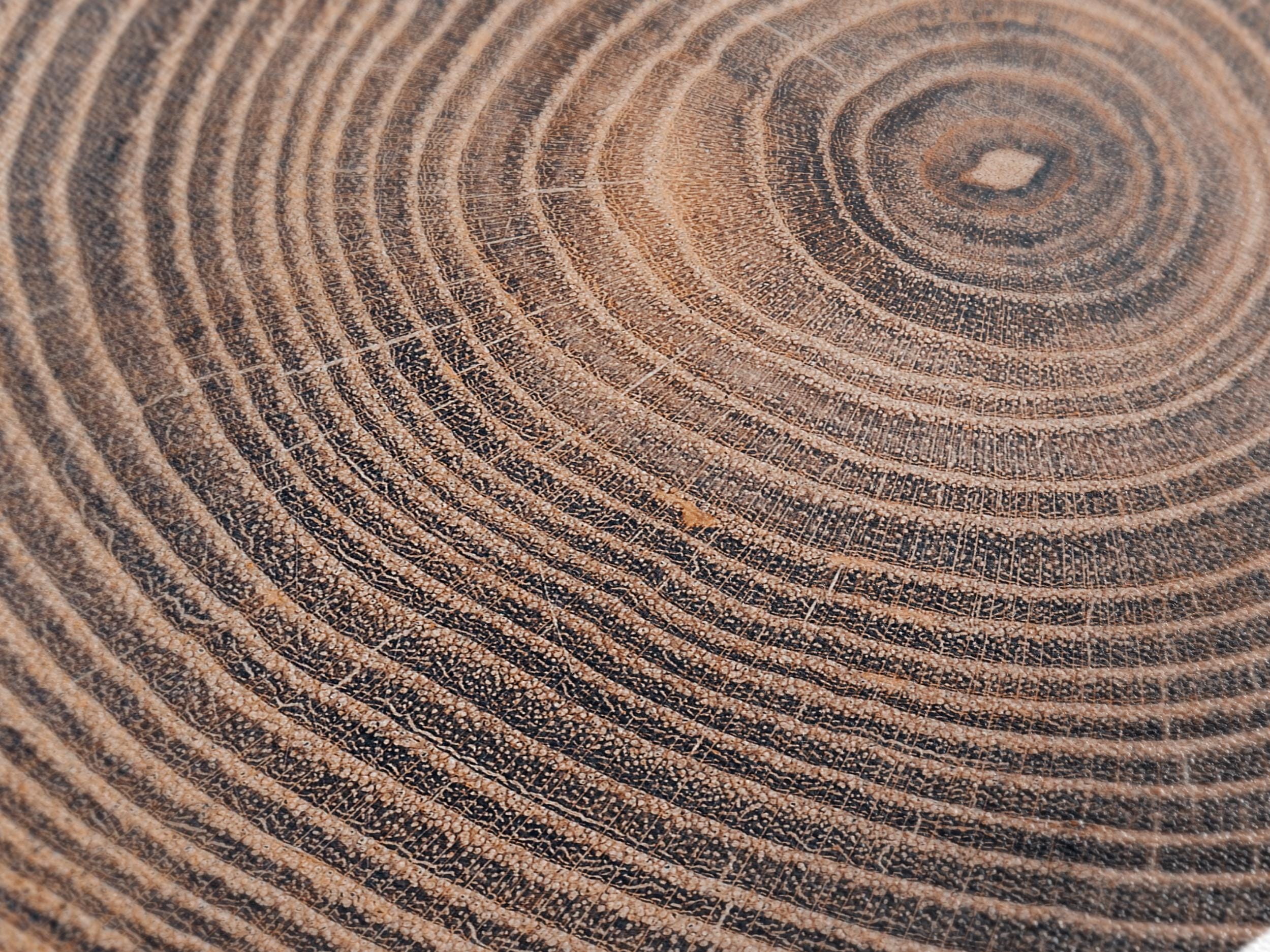 Rustic Tree Ring Canvas Print Wooden Texture Wall Art Large Log Cross-Section Canvas Art Rustic Home Decor Above Fireplace Wall Art