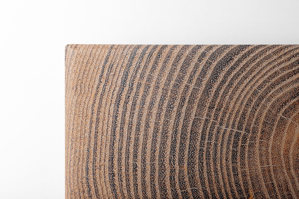 Rustic Tree Ring Canvas Print Wooden Texture Wall Art Large Log Cross-Section Canvas Art Rustic Home Decor Above Fireplace Wall Art