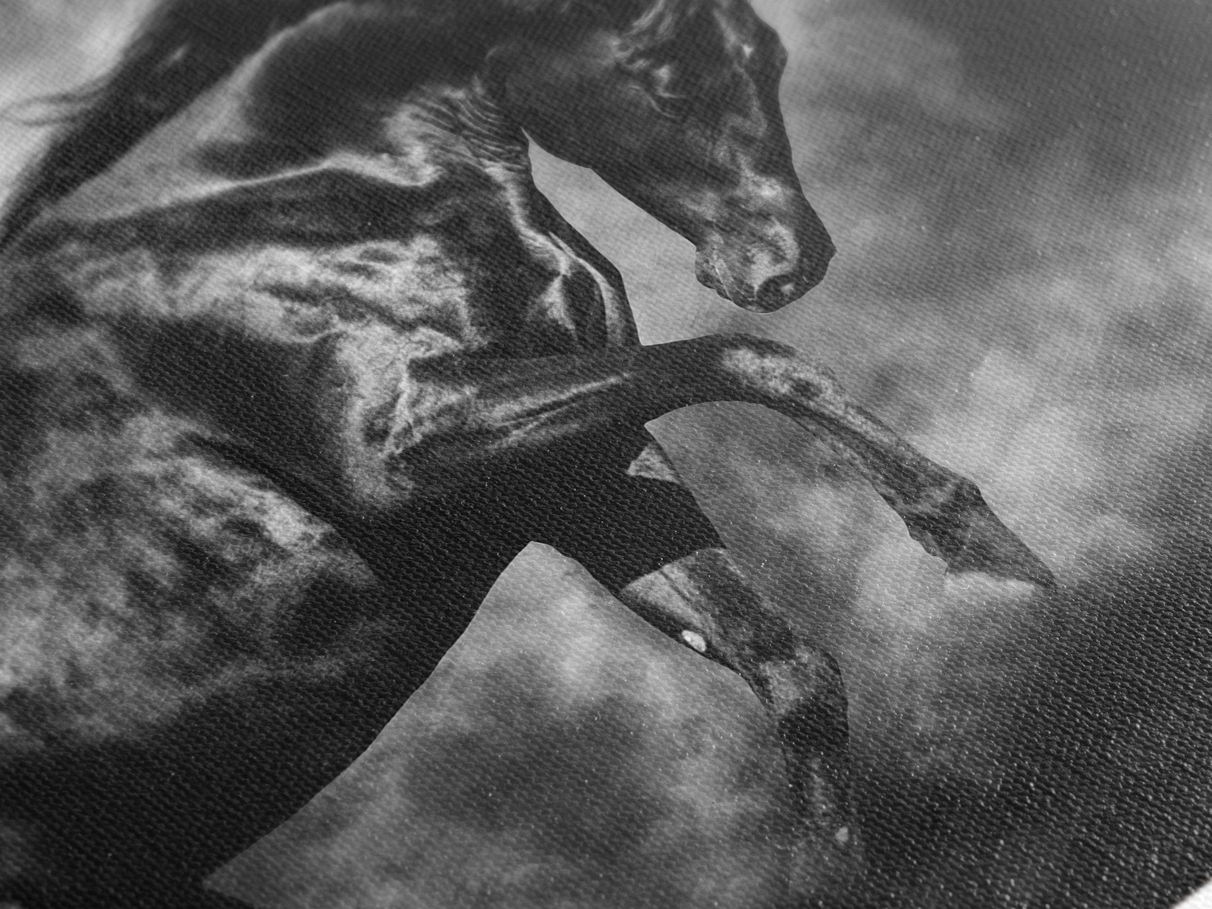 Black Horse Wall Art - Equestrian Wall Decor, Black Stallion Canvas Art, Modern Horse Art Print, Black Horse Artwork, Horse Lover Gift Idea