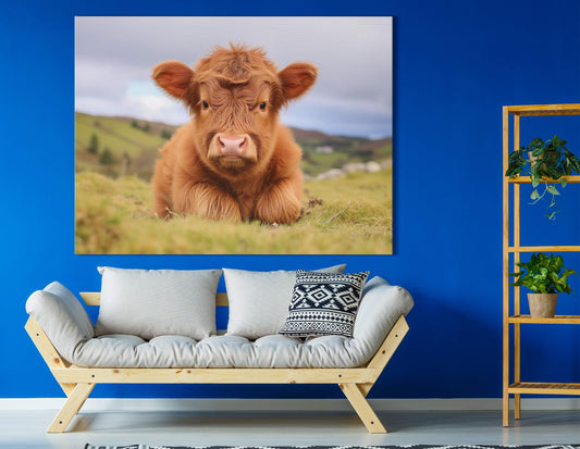 Highland Cow Scenic View Canvas Print