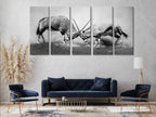 Large Black and White Gemsbok Canvas Print, African Wildlife Wall Art, Fighting Gemsbok Artwork, Oversized Nature Canvas for Modern Decor