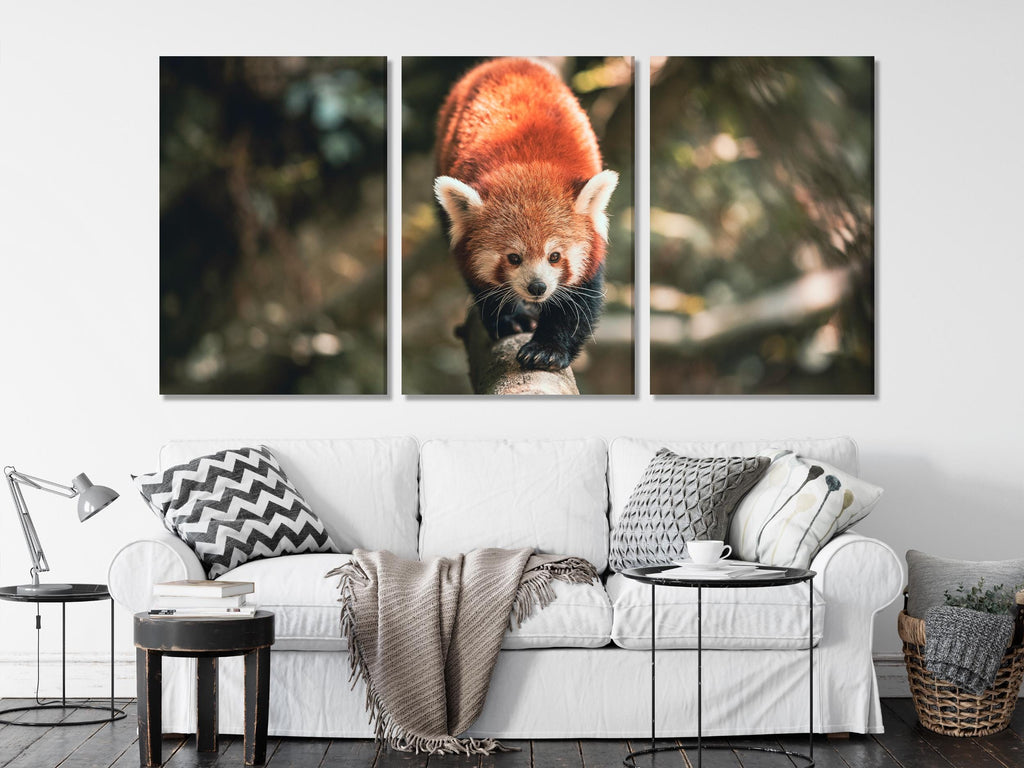 Grande impression sur toile de panda roux, belle œuvre murale d'animaux sauvages, œuvre d'art surdimensionnée d'un animal forestier, toile adorable pour décoration nature