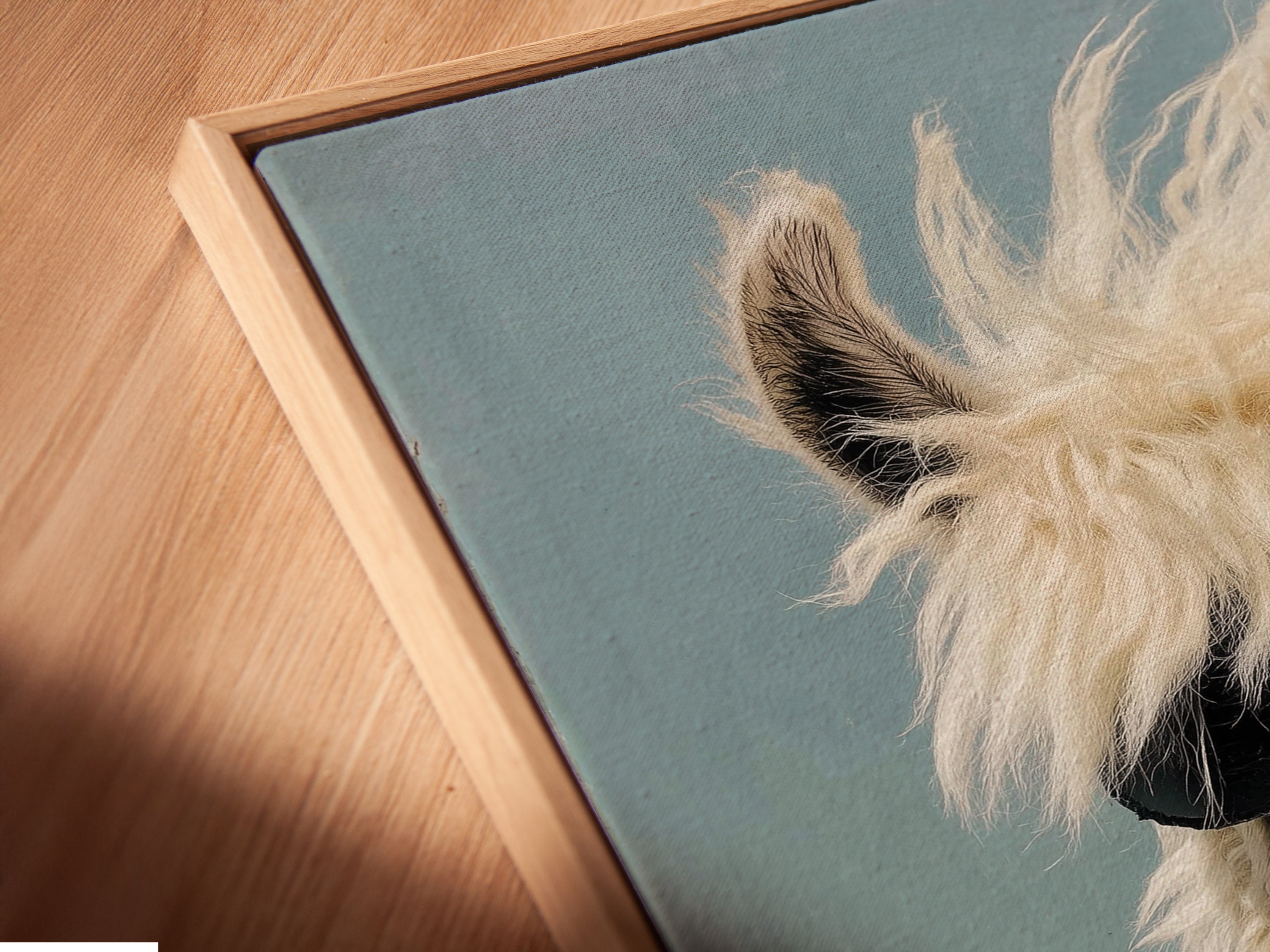 Angled close up showcases a canvas print in a floating frame. This cool llama artwork is quirky. It features a llama with sunglasses. It's funny alpaca canvas for unique office decor.