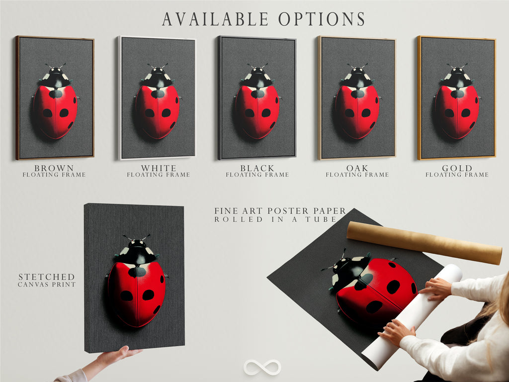 Explore available options for the ladybug art print. Choose from a stretched canvas print fine art poster paper or floating frame. This insect artwork is perfect for kids rooms modern homes and entomology enthusiasts. Find your perfect style.