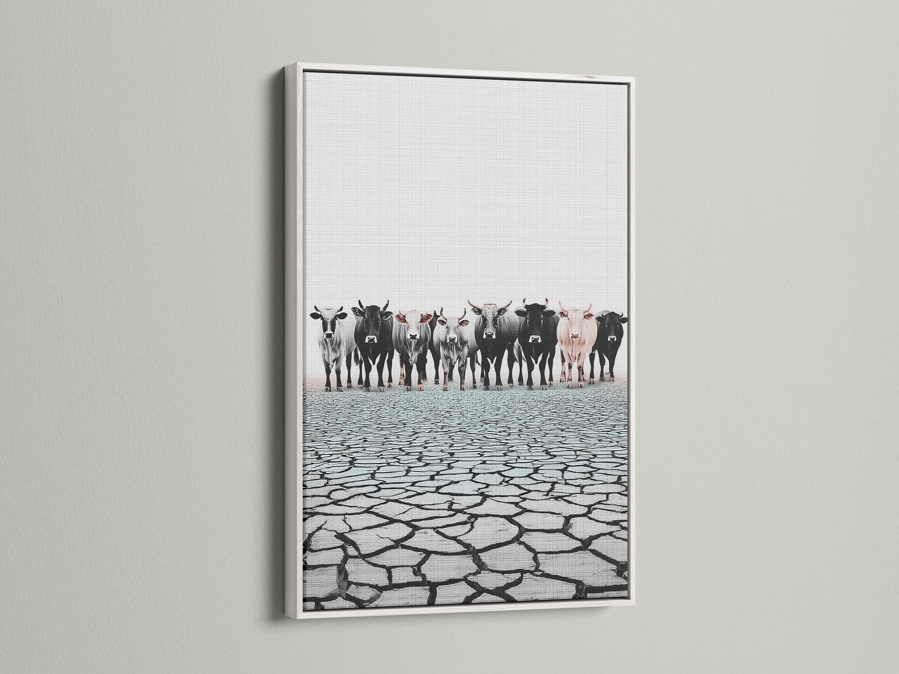 Cattle canvas print in a white frame. A stunning piece of farm animal art. Ideal for adding a touch of country charm. Explore our white frame options for your home or office.