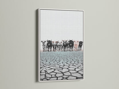 Cattle canvas print in a white frame. A stunning piece of farm animal art. Ideal for adding a touch of country charm. Explore our white frame options for your home or office.