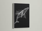 A black and white whale artwork is beautifully framed in a white frame. This minimalist ocean canvas print brings a fresh feel to any room. Ideal for modern bedroom decor. The white frame enhances the whale artwork. This nautical wall decor is a sophisticated addition.