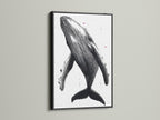 Humpback Whale art print in a sleek black frame. This whale canvas print is modern and refined. Perfect for interior decorators. This ocean animal art is great for bathrooms and lobbies. A timeless piece of coastal wall decor. Refined artwork.