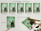 Available options for the Baby Elephant artwork which includes a stretched canvas print fine art poster paper and floating frame. Select the perfect format to match your style. Enhance your space with our elephant art. Shop now.