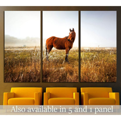 Lonely horse wall art №5003Canvas art arrives ready to hang, with hanging accessories included and no additional framing required. Every canvas print is hand-crafted, made on-demand at our workshop and expertly stretched around 100% North American Pine wo