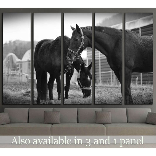 Black and white horse wall art №5008Canvas art arrives ready to hang, with hanging accessories included and no additional framing required. Every canvas print is hand-crafted, made on-demand at our workshop and expertly stretched around 100% North America