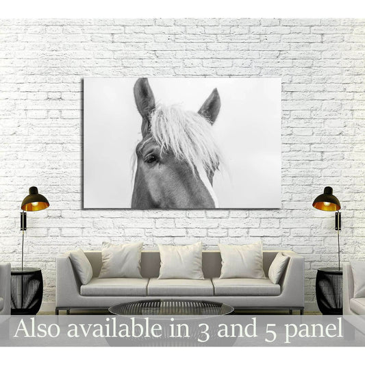 Closeup horse wall art №5007Canvas art arrives ready to hang, with hanging accessories included and no additional framing required. Every canvas print is hand-crafted, made on-demand at our workshop and expertly stretched around 100% North American Pine w