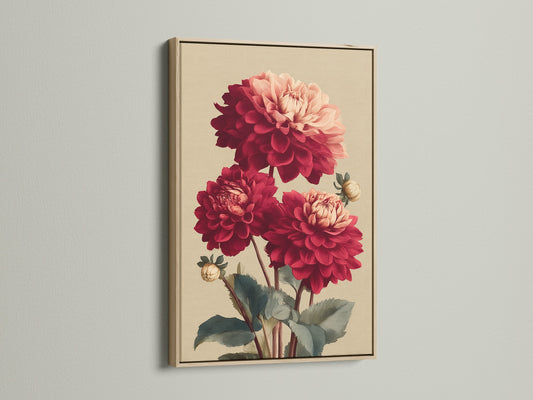 Dahlia Botanical Print in an oak frame. This red flower print adds a touch of vintage charm to any room. Perfect as a floral canvas for living rooms bedrooms and offices.