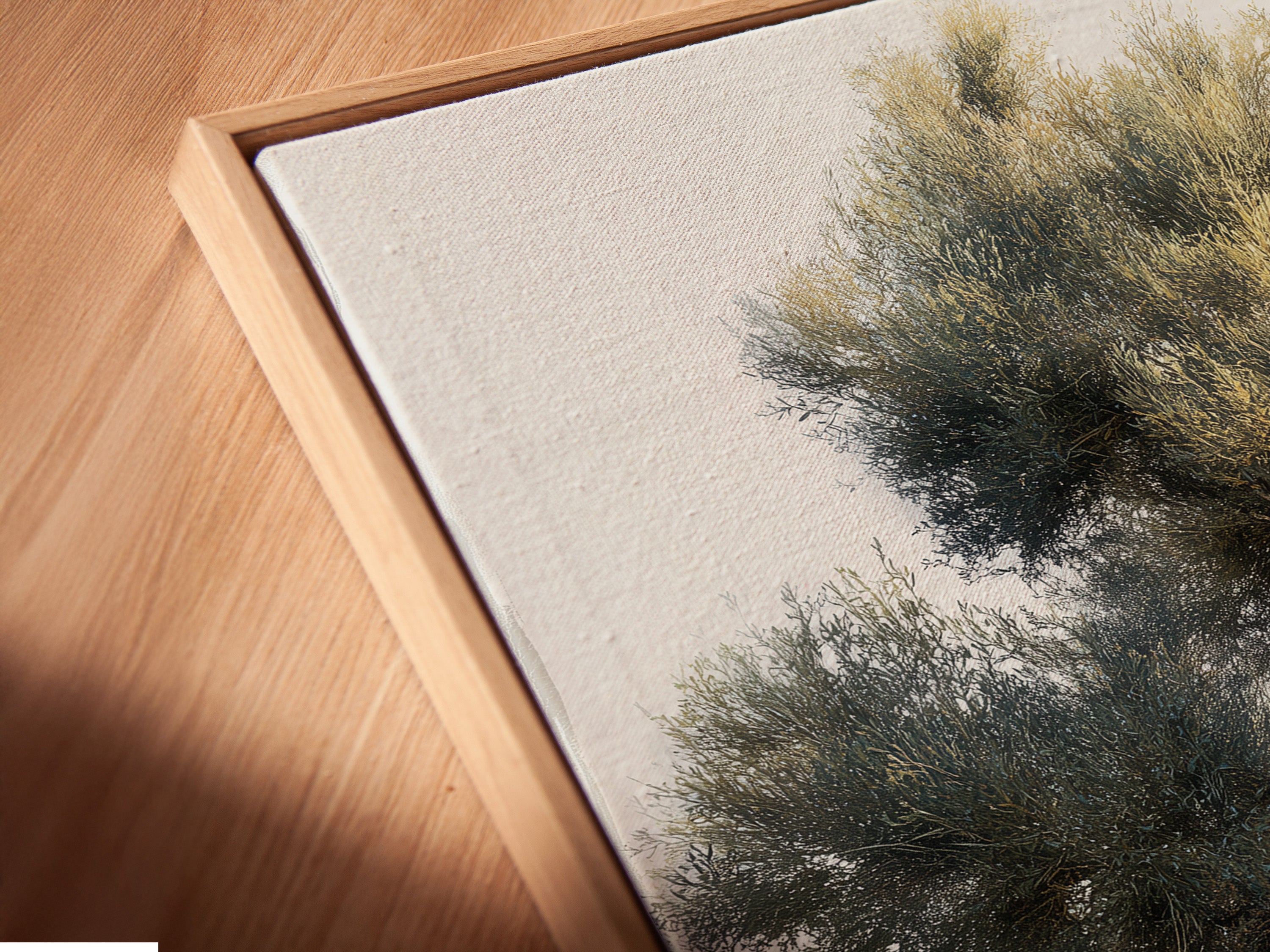 Ancient Olive Tree Canvas Print - Mediterranean Landscape Wall Art, Vintage Nature Artwork for Living Room Decor