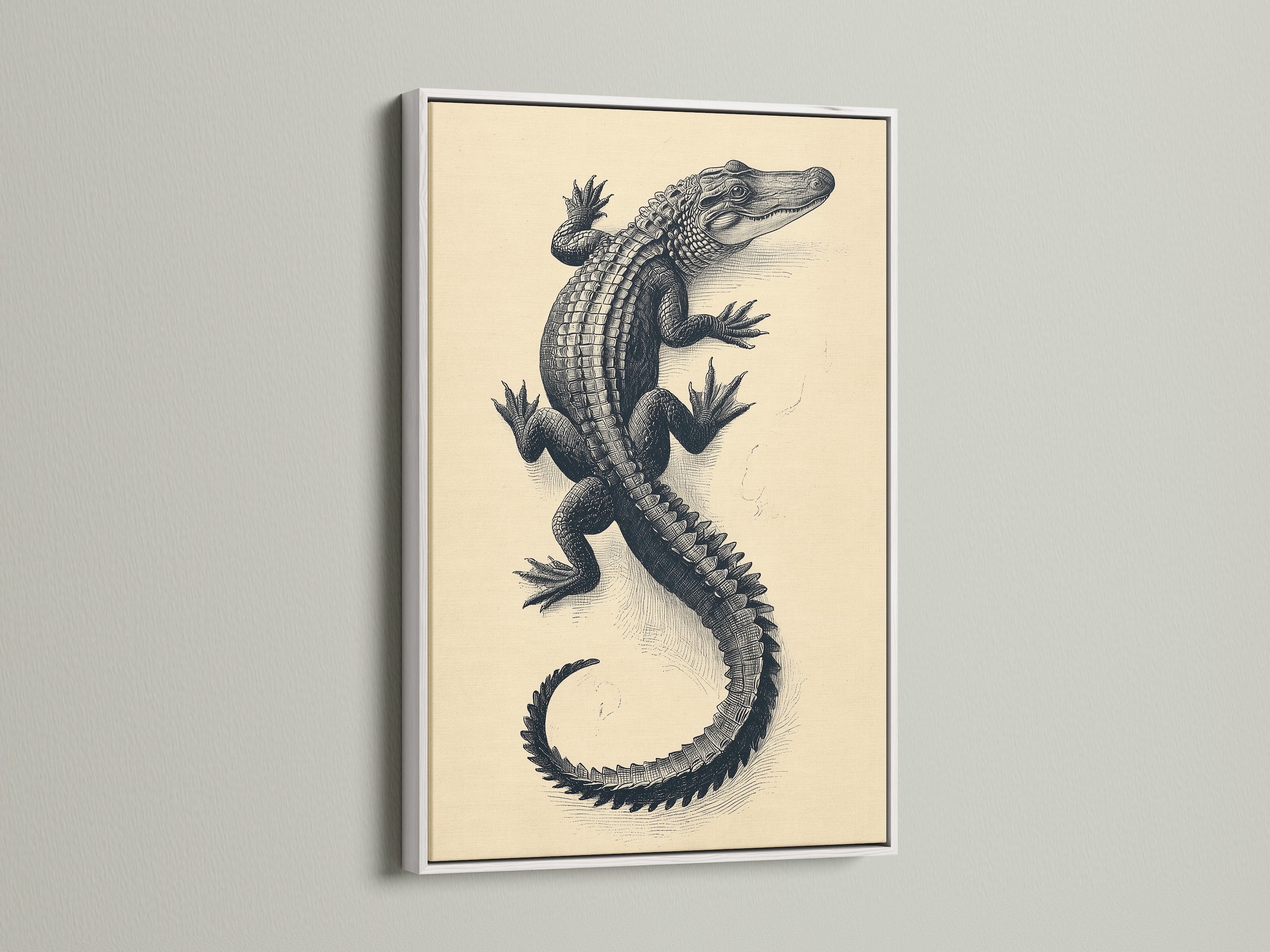 Vintage Alligator Art Print displayed in a white frame. This natural history art piece brings an antique zoology feel to your walls. The white frame enhances the artwork's beige and black tones. Perfect for adding a Victorian touch to a study room or library with this vintage reptile art.