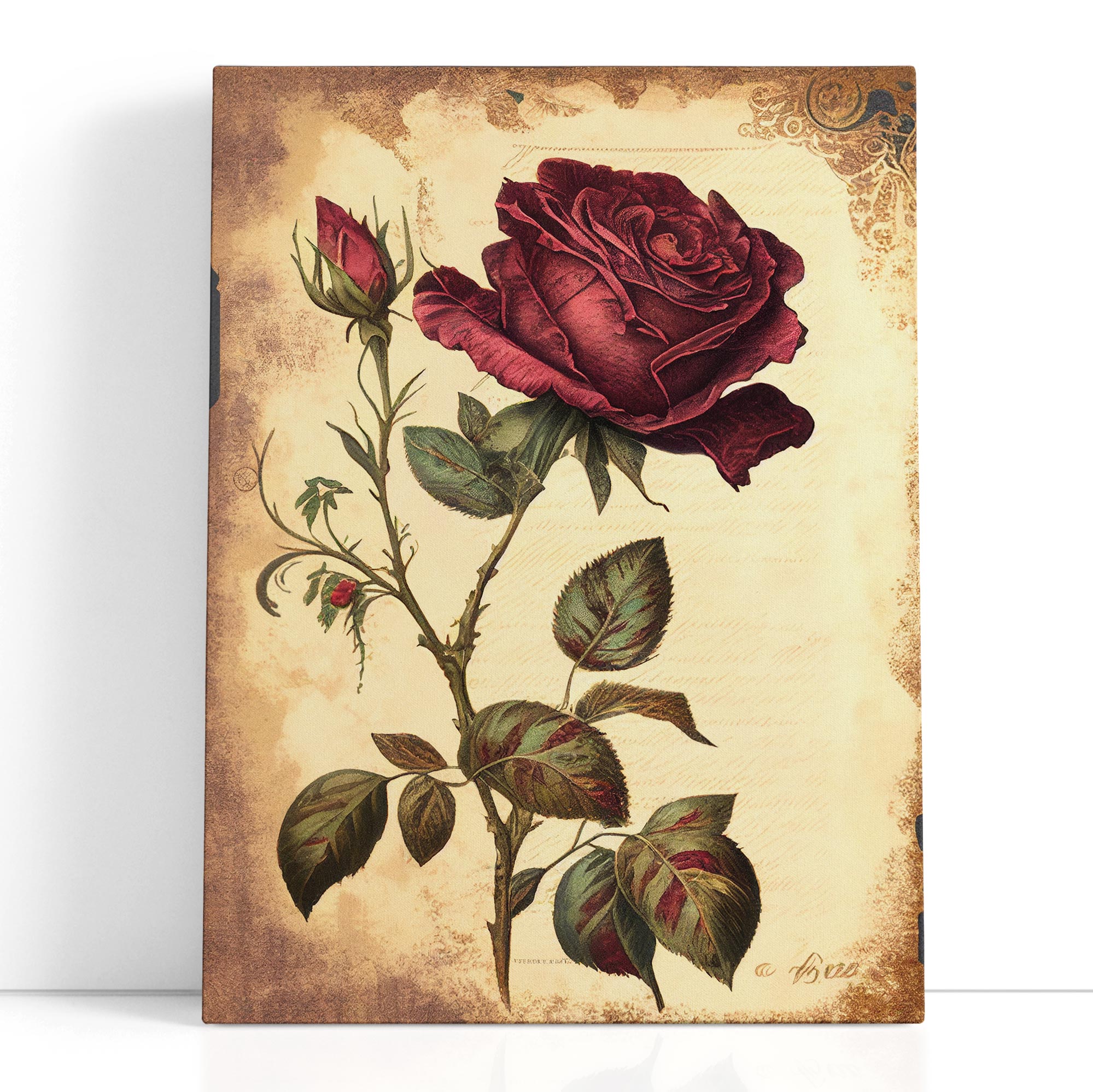 Traditional Rose with Ornate Design Wall Decor