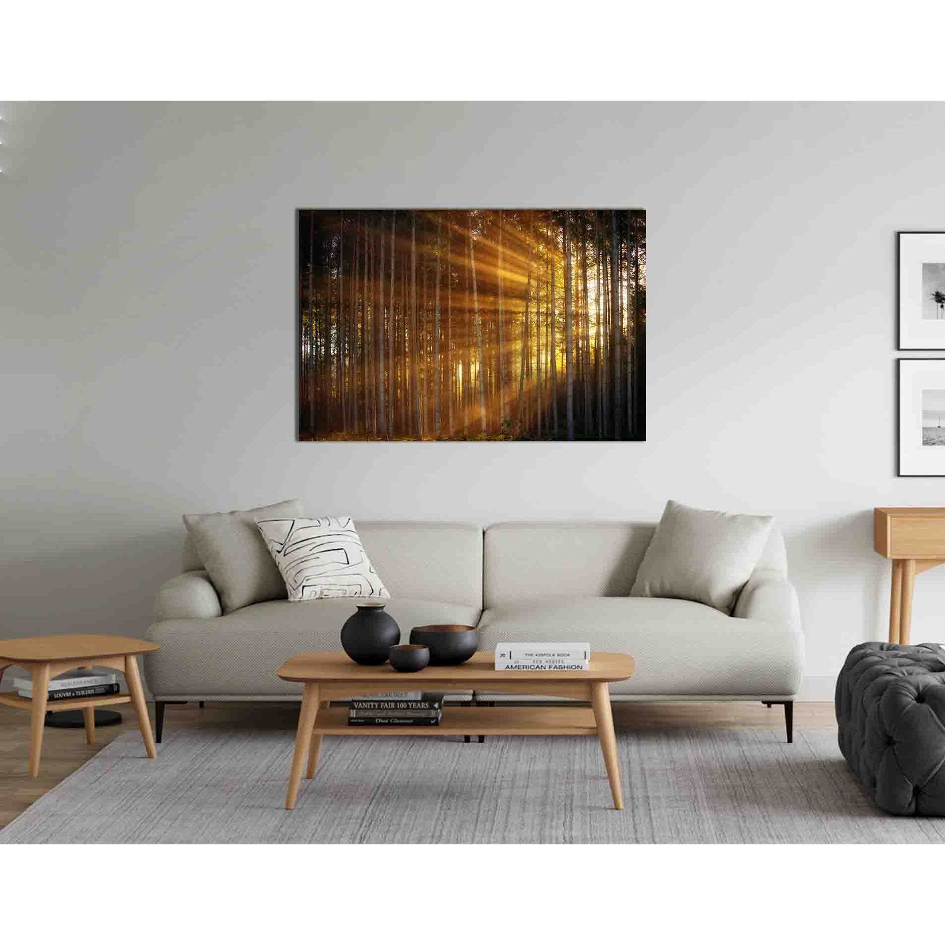 Forest in the sunbeams №D1863 Ready to Hang Canvas PrintCanvas art arrives ready to hang, with hanging accessories included and no additional framing required. Every canvas print is hand-crafted, made on-demand at our workshop and expertly stretched aroun