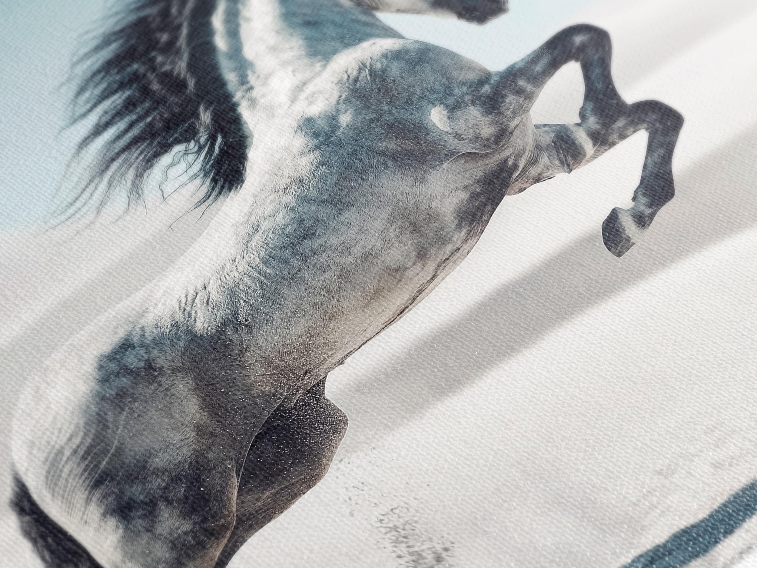 Horse Canvas Print – Elegant White Stallion Running in Desert Landscape, Oversized Horse Wall Art for Living Room or Office Wall Decor