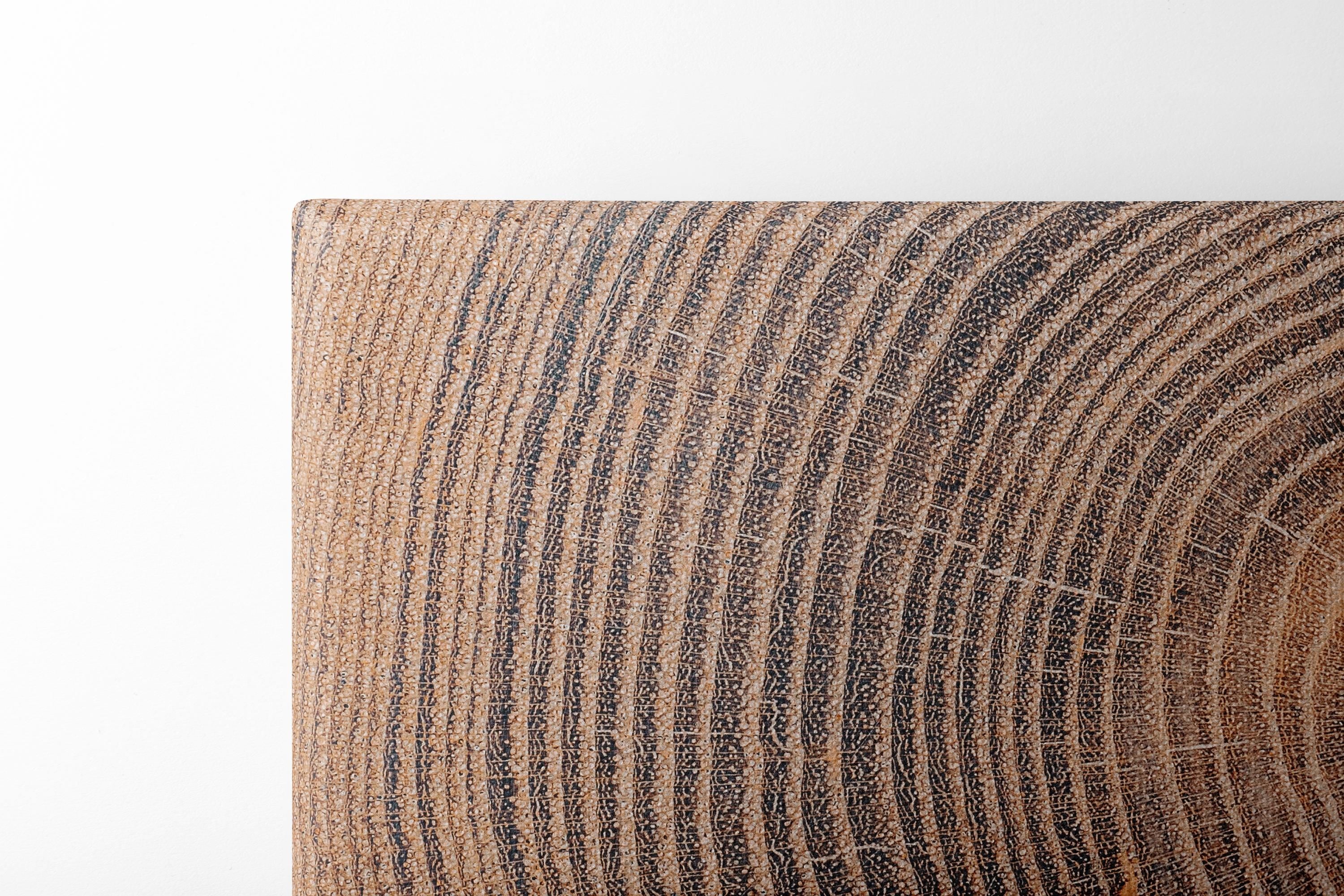 Tree Ring Wall Art – Extra Large Wood Grain Canvas Print, Rustic Art Earthy Decor, Nature-Inspired Wall Art for Living Room & Office Decor