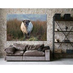 Highland Calf On The Field In Exmoor №04247 Ready to Hang Canvas PrintCanvas art arrives ready to hang, with hanging accessories included and no additional framing required. Every canvas print is hand-crafted, made on-demand at our workshop and expertly s