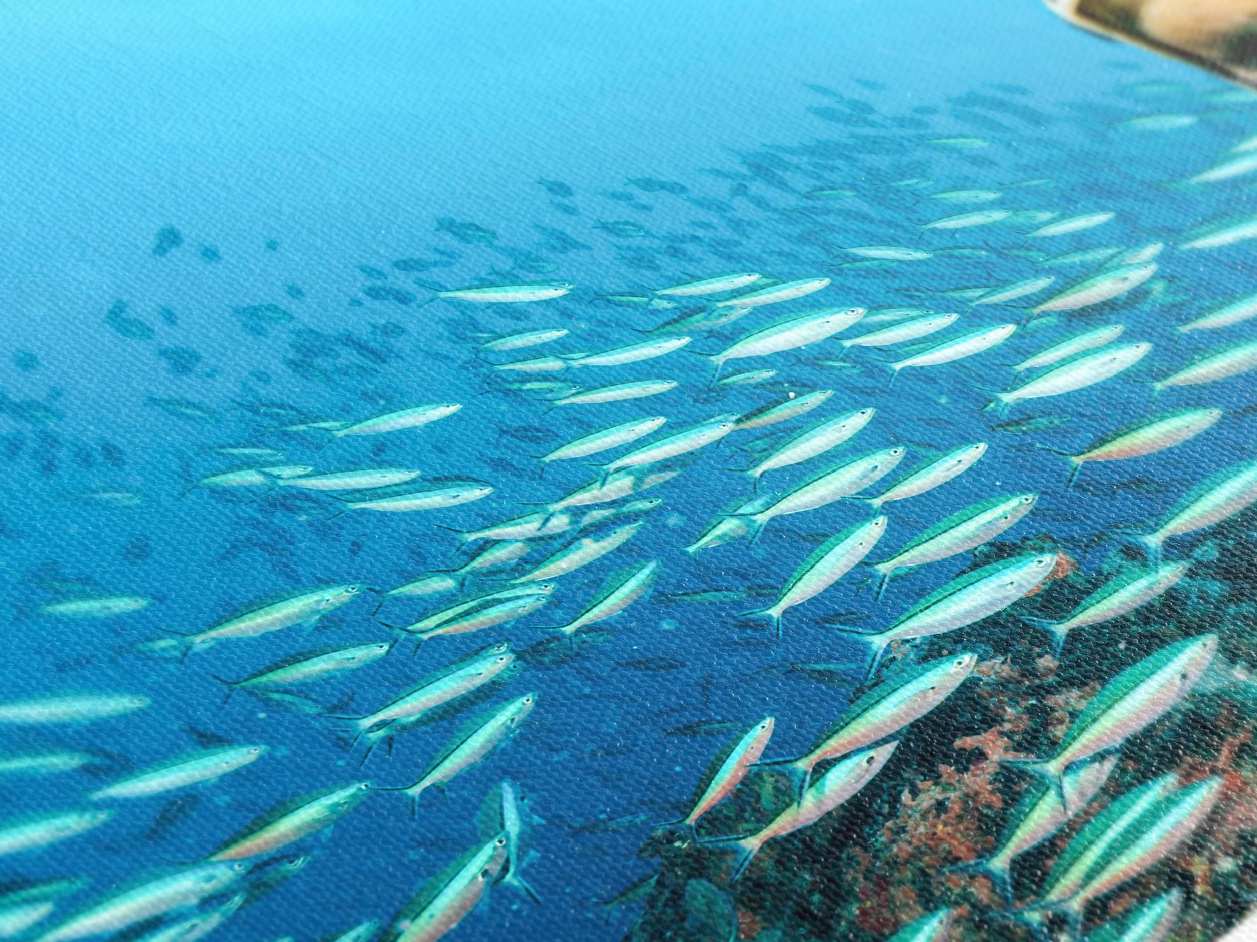 Sea Turtle Wall Art - Marine Life Canvas Print, Large Underwater Art, Modern Sea Life Artwork, Sea Turtle Art Print, Above Couch Ocean Decor