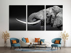 Black and white elephant wall art featuring a majestic tusk and lifelike textures, ideal for contemporary wildlife-inspired décor.
