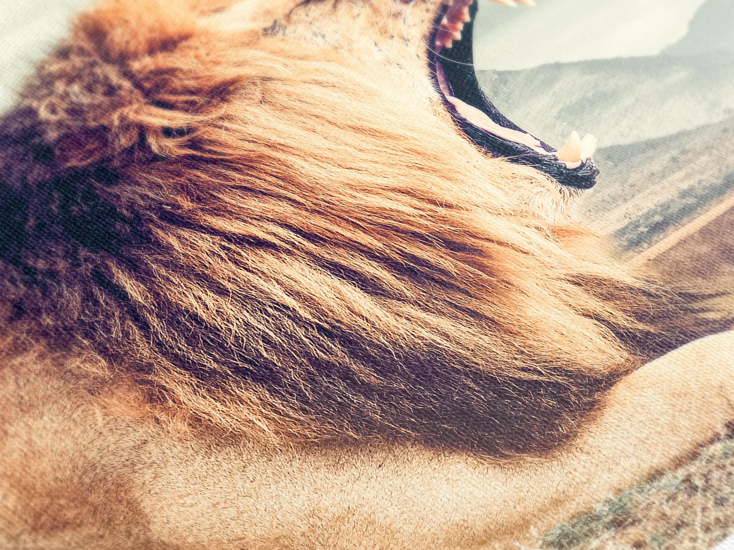 Lion Wall Art - Large Wildlife Canvas Print, Roaring Wild Lion Artwork, Oversized Lion Art Print, Modern Wildlife Wall Decor, Lion Art Gift