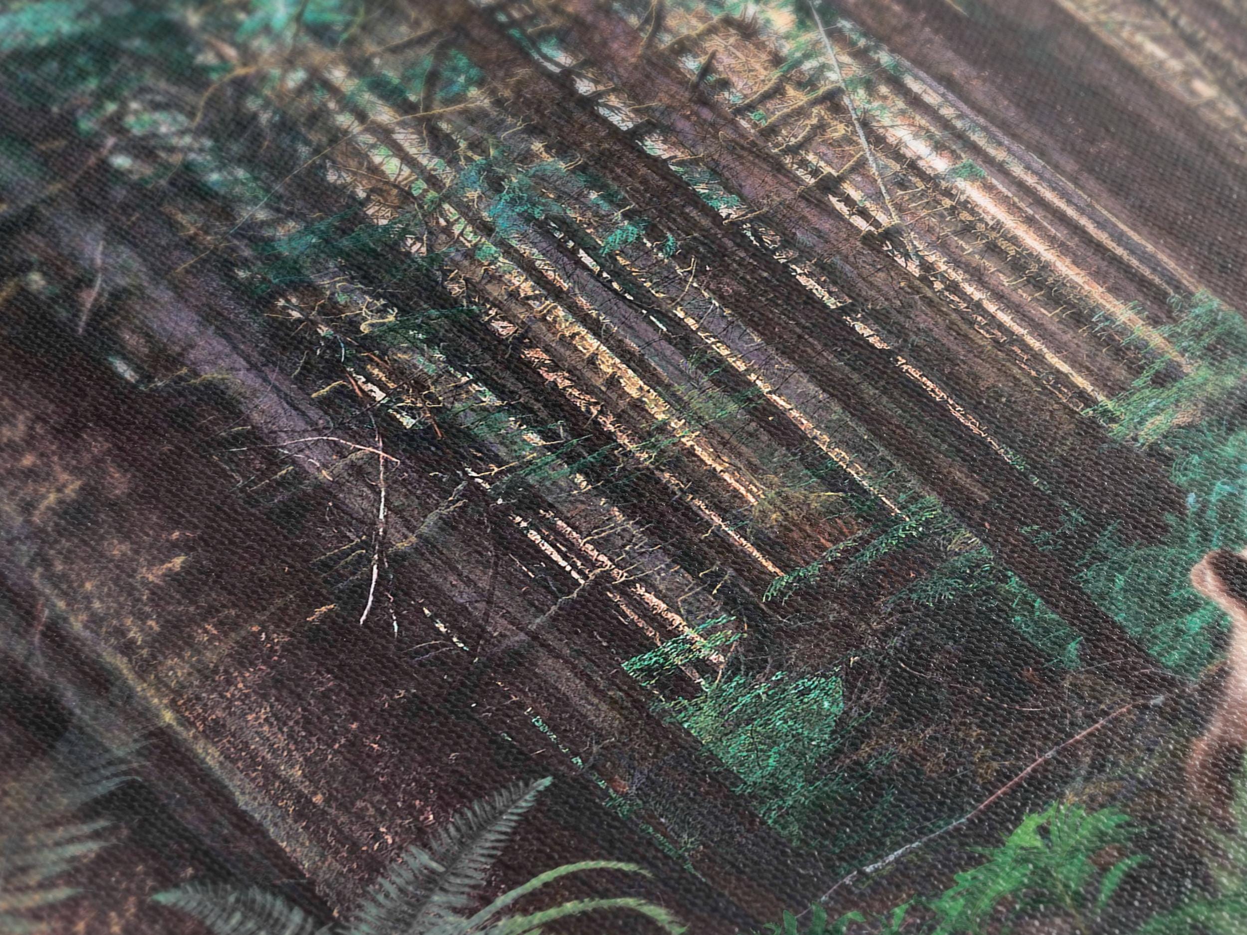 Forest Bear Family Canvas Wall Art, 3-Panel Woodland Wildlife Print, Rustic Farmhouse Decor, Country Home Woodland-Inspired Wall Art Print