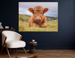 Prints        Highland Cow Grazing Art