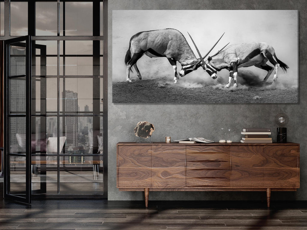 Large Black and White Gemsbok Canvas Print, African Wildlife Wall Art, Fighting Gemsbok Artwork, Oversized Nature Canvas for Modern Decor