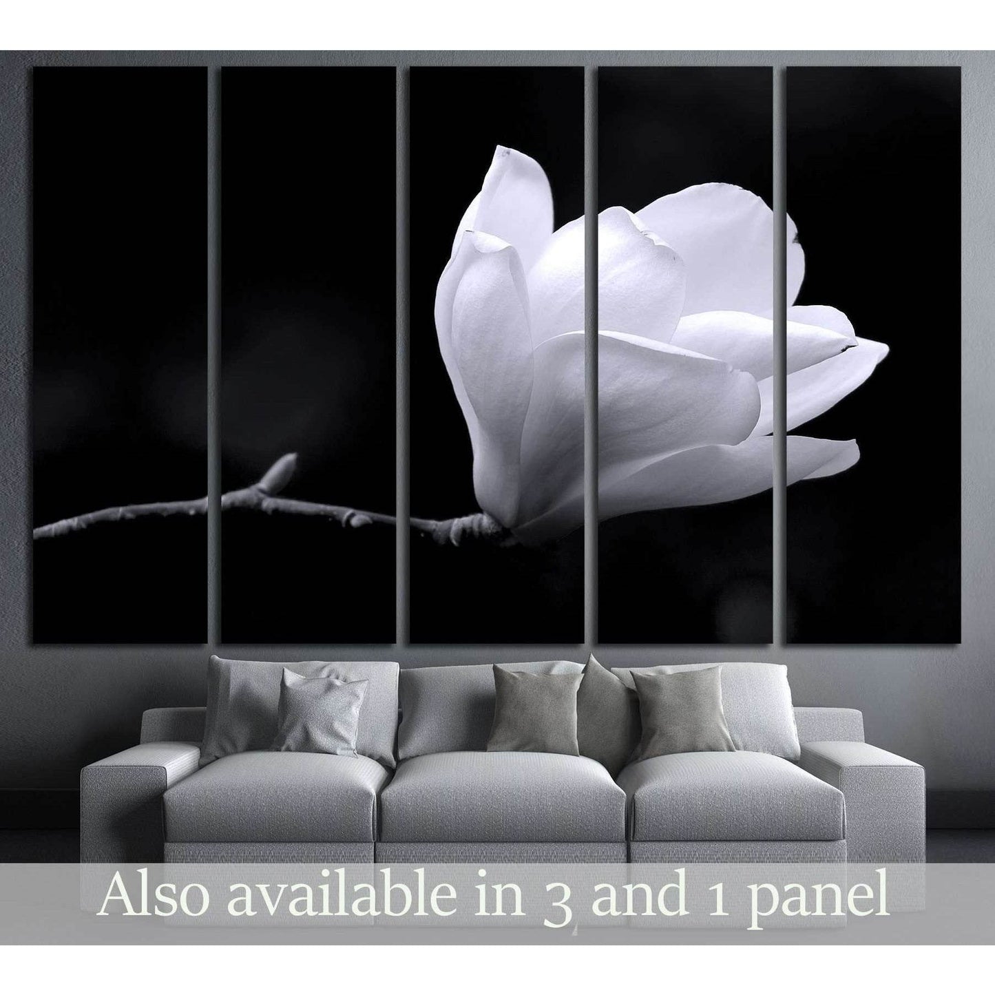 A black and white fine art portrait of the flower from a magnolia tree. №2747 Ready to Hang Canvas PrintCanvas art arrives ready to hang, with hanging accessories included and no additional framing required. Every canvas print is hand-crafted, made on-dem