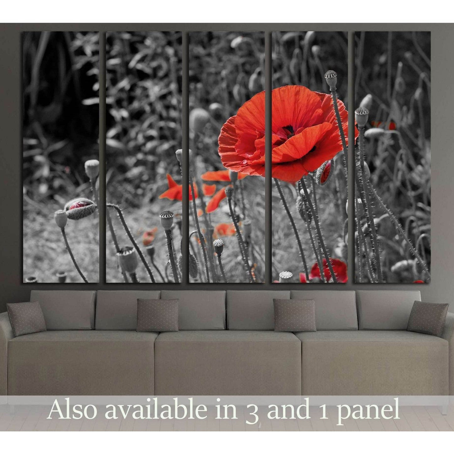 Vivid Red Poppies Canvas Art - Symbolic Nature DecorThis canvas print features a selective color technique highlighting vibrant red poppies against a monochrome background, bringing a striking contrast that draws the eye. The poppies, symbolizing remembra