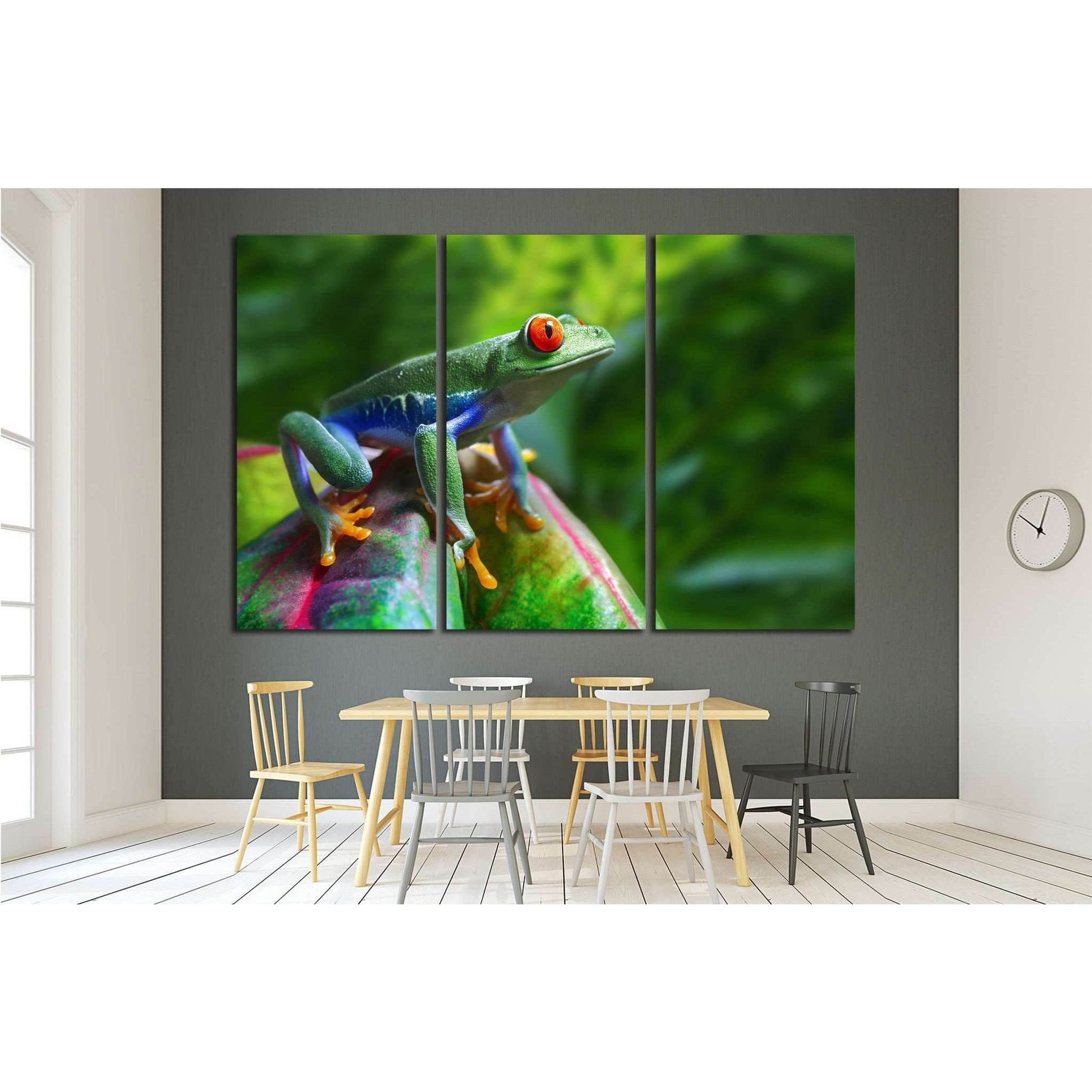 A colorful Red-Eyed Tree Frog in its tropical setting №1840 Ready to Hang Canvas PrintCanvas art arrives ready to hang, with hanging accessories included and no additional framing required. Every canvas print is hand-crafted, made on-demand at our worksho