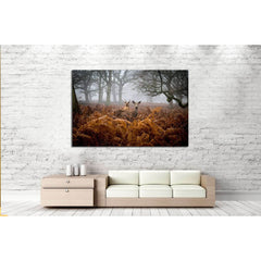 A Deer in the fog, Richmond Park, London №2379 Ready to Hang Canvas PrintCanvas art arrives ready to hang, with hanging accessories included and no additional framing required. Every canvas print is hand-crafted, made on-demand at our workshop and expertl